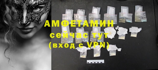 индика Алексин
