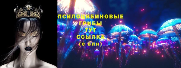 индика Алексин
