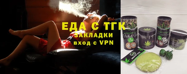 индика Алексин