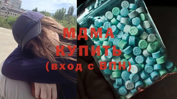 индика Алексин
