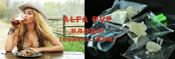 индика Алексин