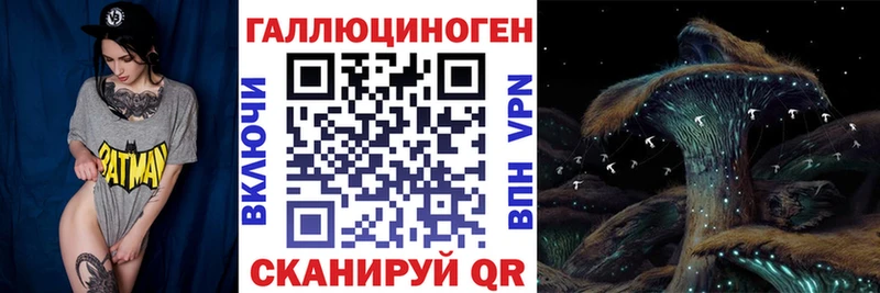 Галлюциногенные грибы прущие грибы  закладка  Иланский 